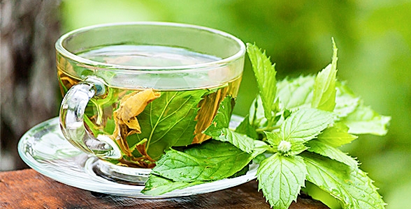 Green Tea Extract For Weight Loss?